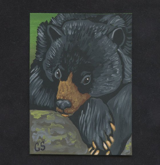 ACEO ATC Original Painting Black Bear Wildlife Art-Carla Smale