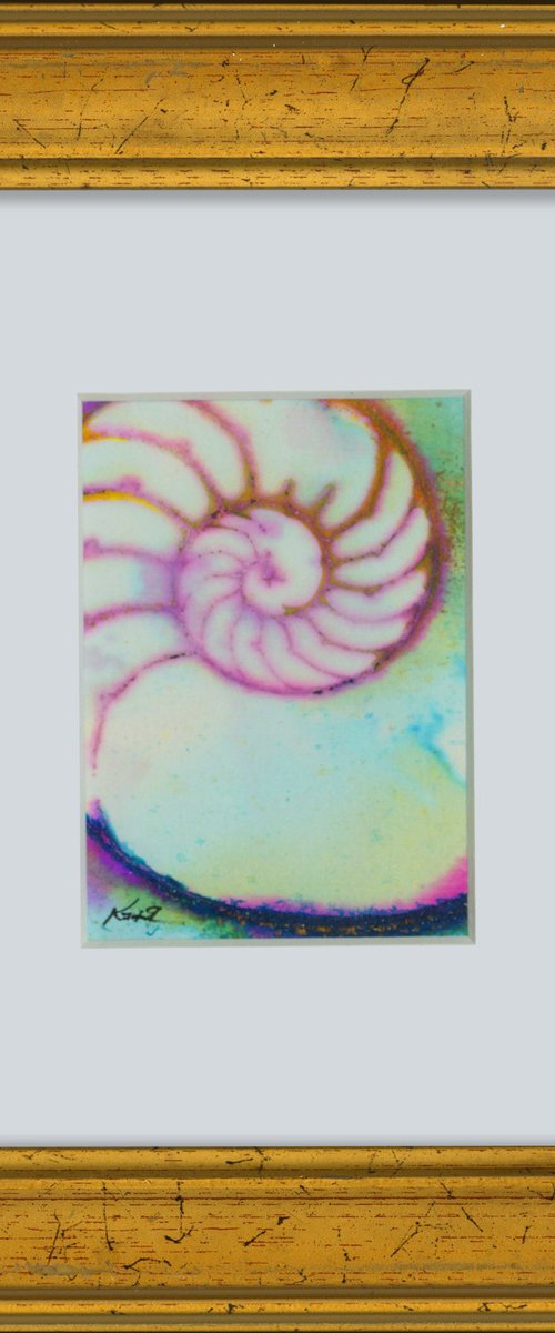 Nautilus Shell 956 by Kathy Morton Stanion