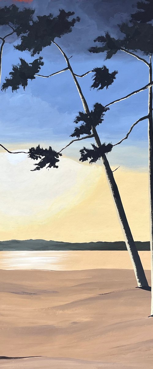 Pines at dusk by Cadiou Frederic