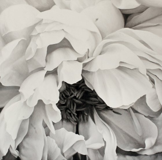 "Blossomed peony" Black white flower oil art
