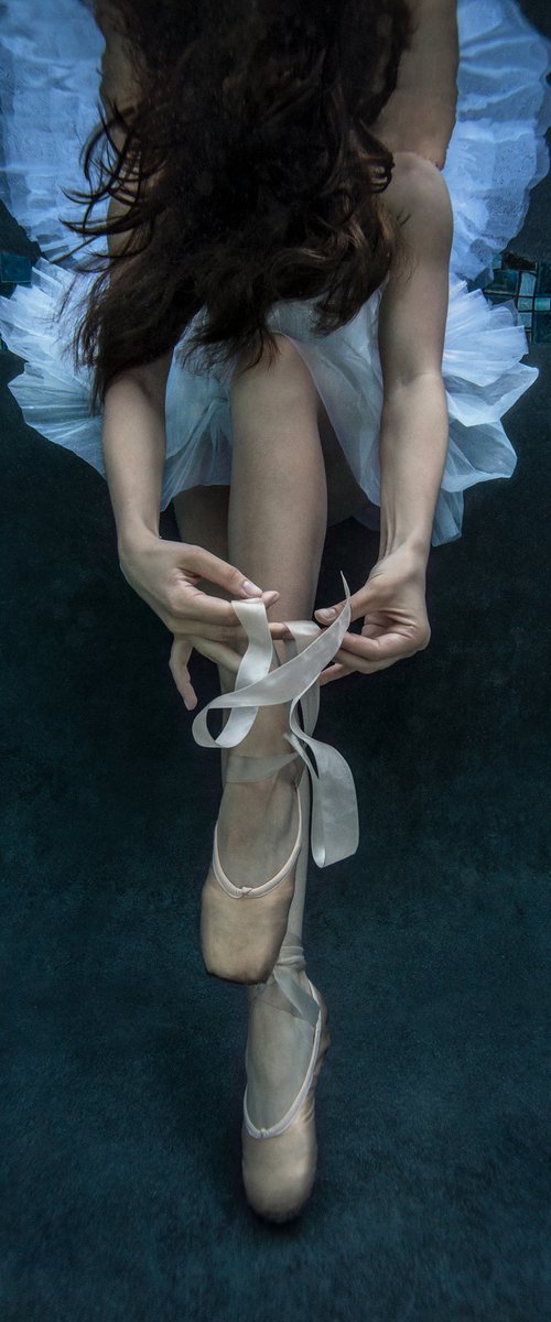 Pointe - underwater photograph - print on paper by Alex Sher