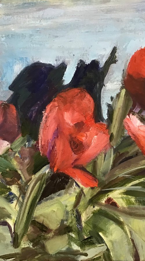 Tulips and Shadows 2 by Sandra Haney