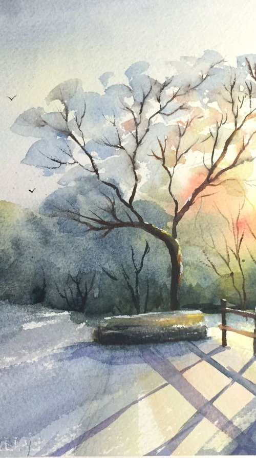 Winter sun by Jing Chen