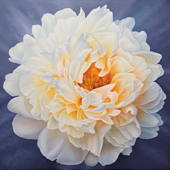 Dance of peony petals