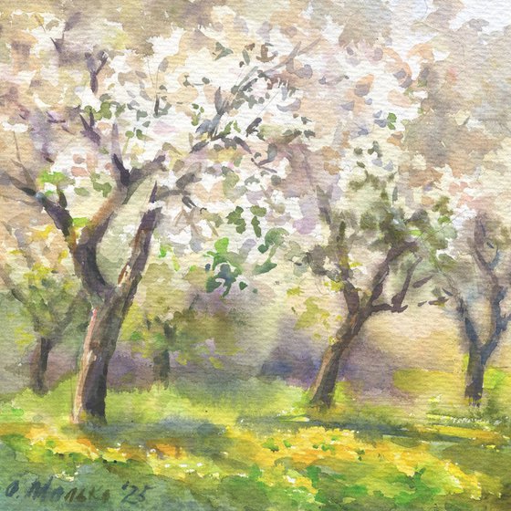 Blossoming Orchard