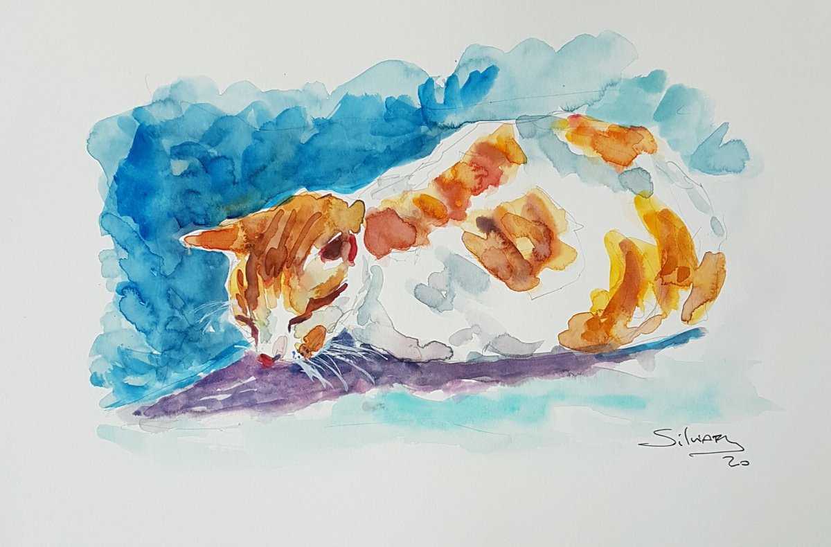 Dozing cat by Silvia Flores Vitiello