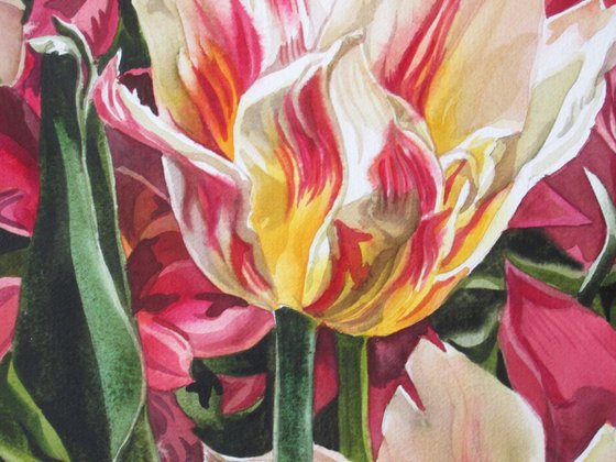 the love of tulips
