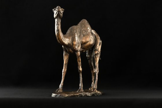 Camel Foundry Bronze sculpture