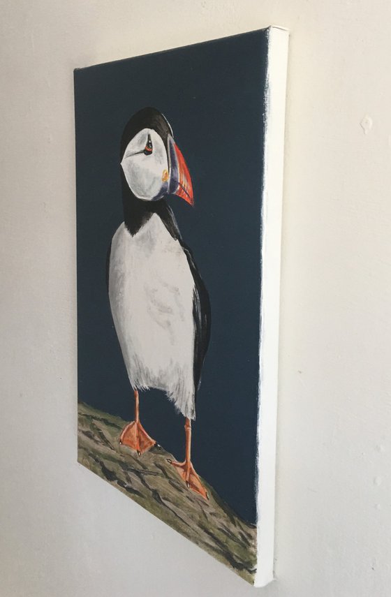 Standing Puffin