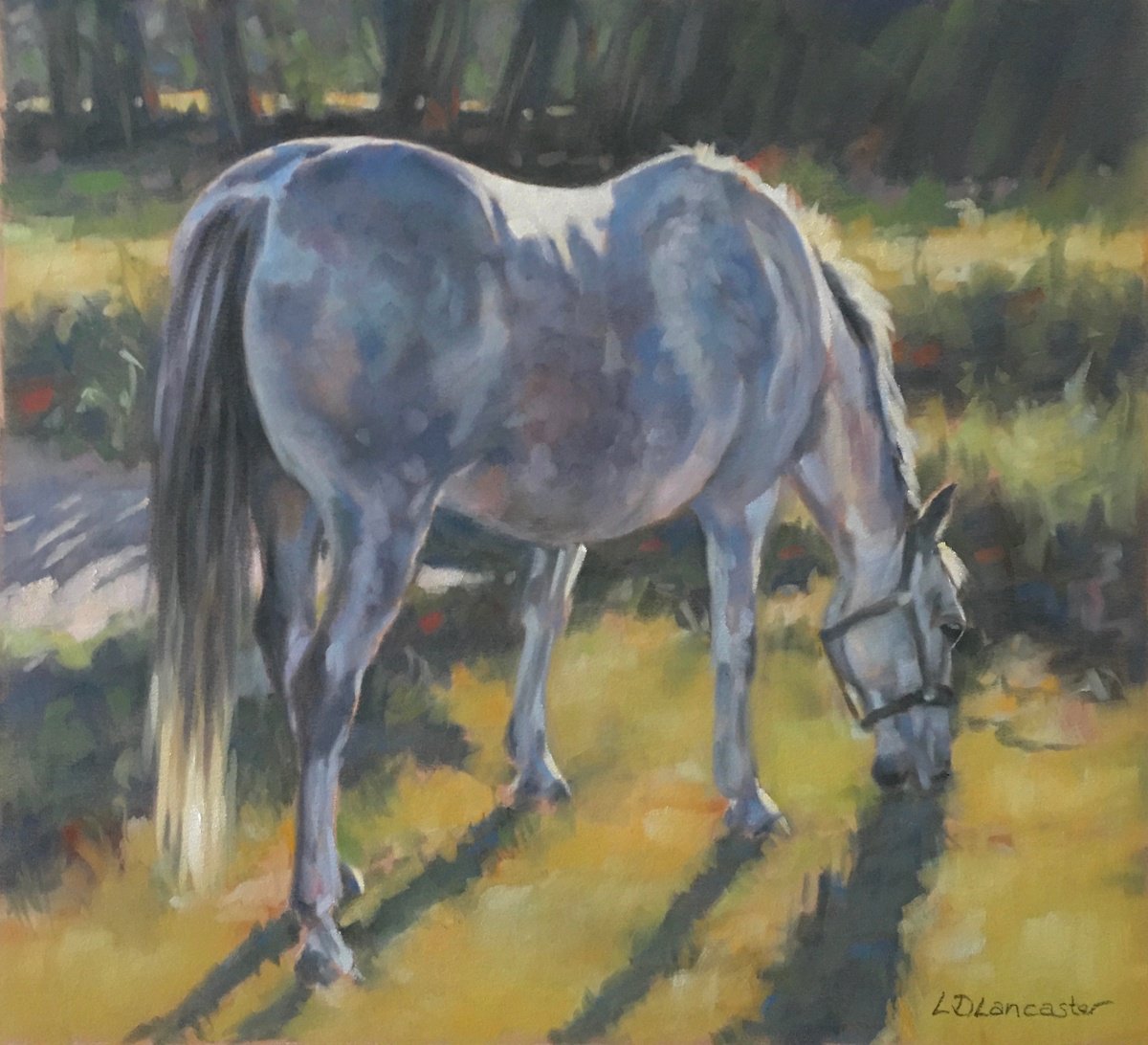 Evening Sunset - Dapple Grey Horse by Lorna Lancaster ASEA