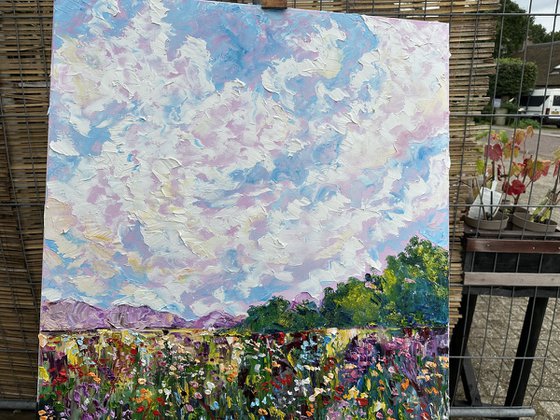 Pink clouds over the field