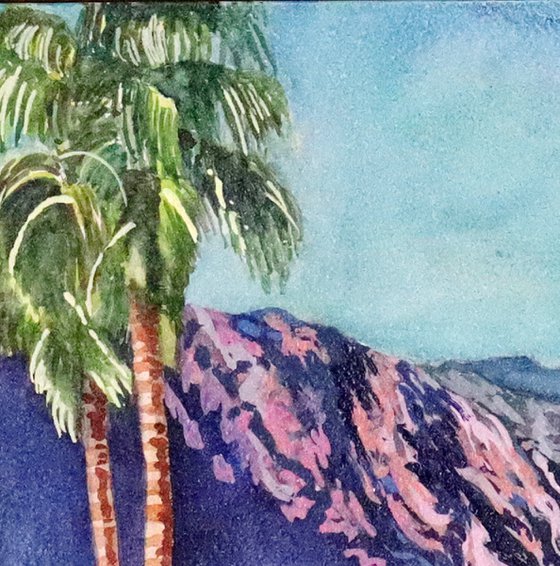 Santa Rosa Palm