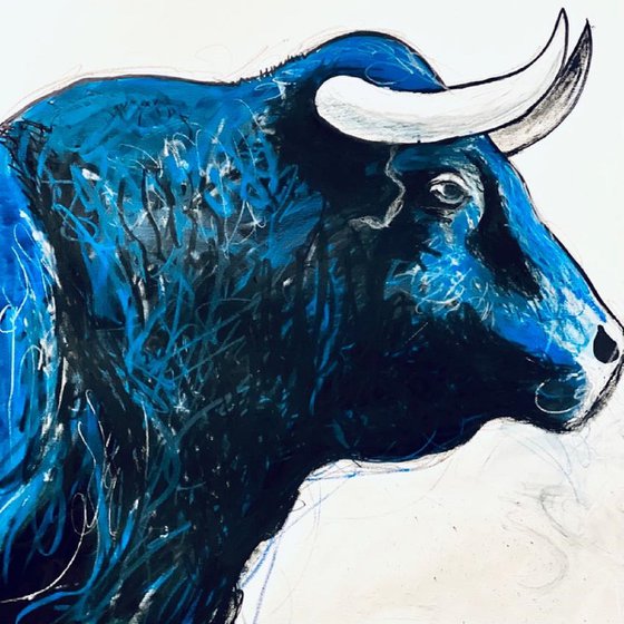 Blue Bull Head 2