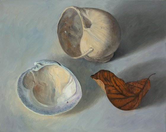 Shells and Leaf