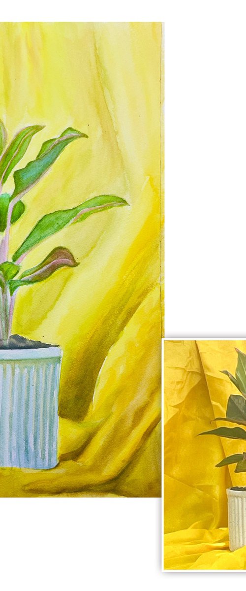 A plant & pot by Neha Soni
