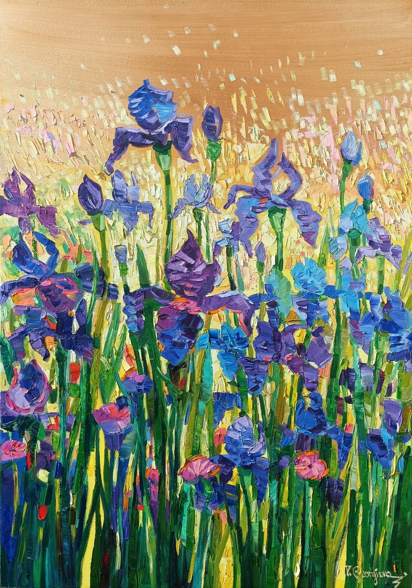 Light on the irises by Vanya Georgieva