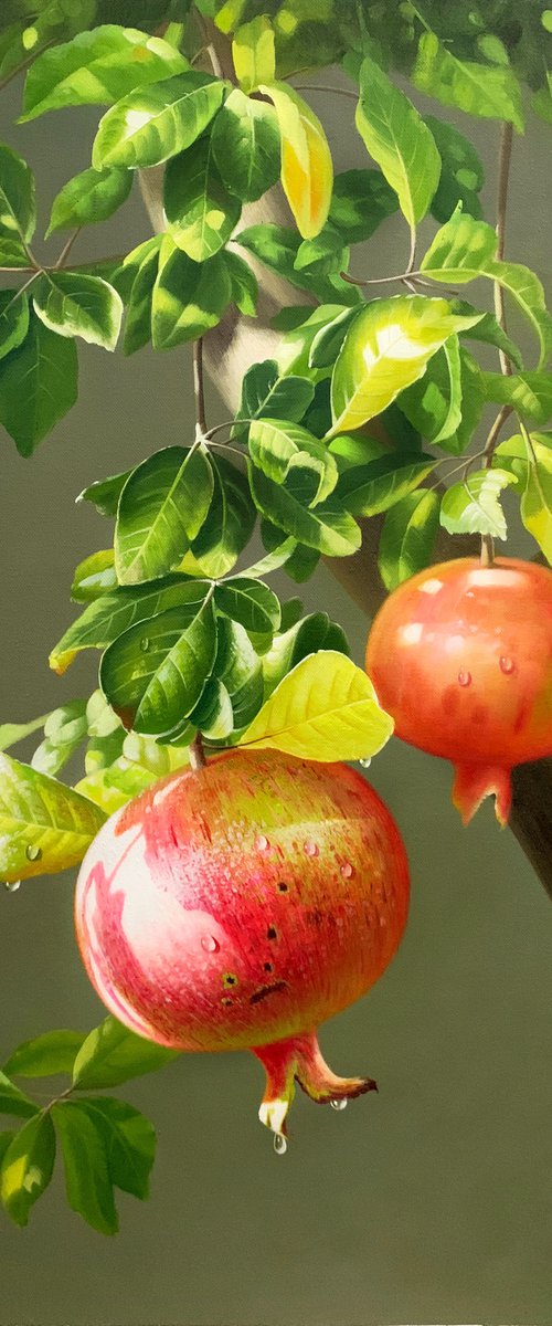 Still life:Pomegranates on the trees by Kunlong Wang