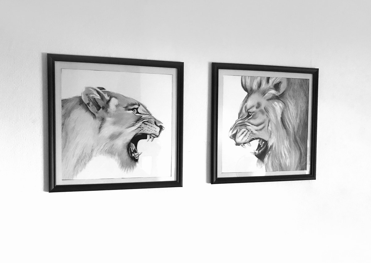 Roar by Nagore Rodriguez