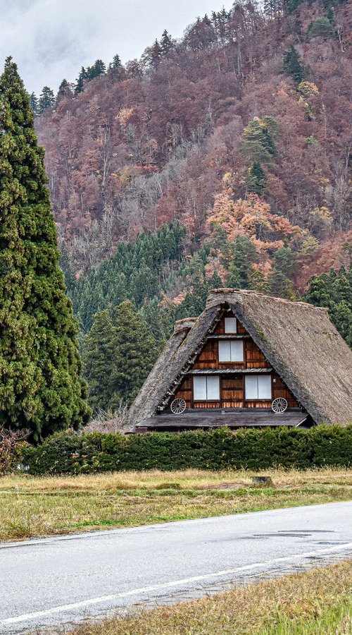 JAPAN NATURE by Fabio Accorrà