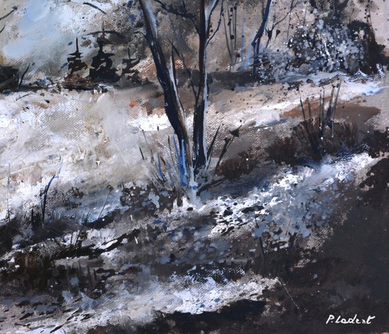 Winter in the wood
