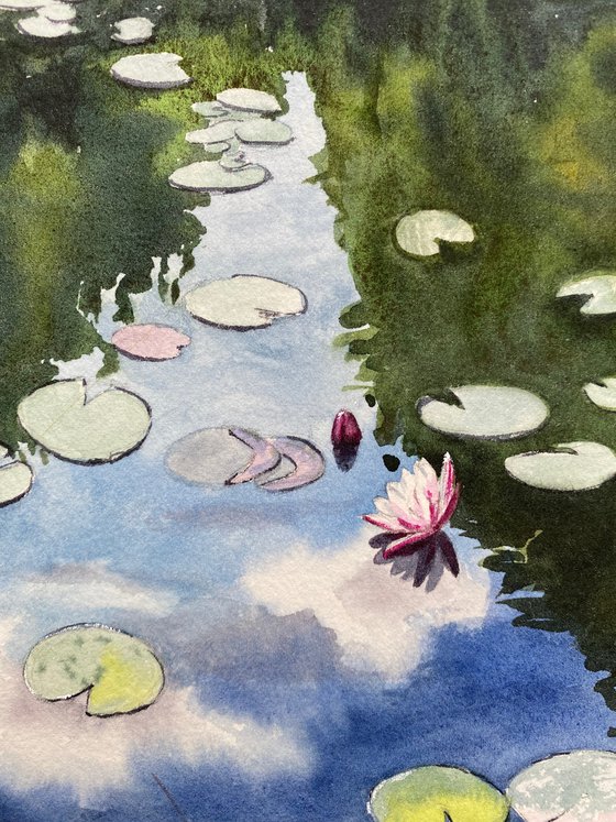 Water Lilies on the Clouds