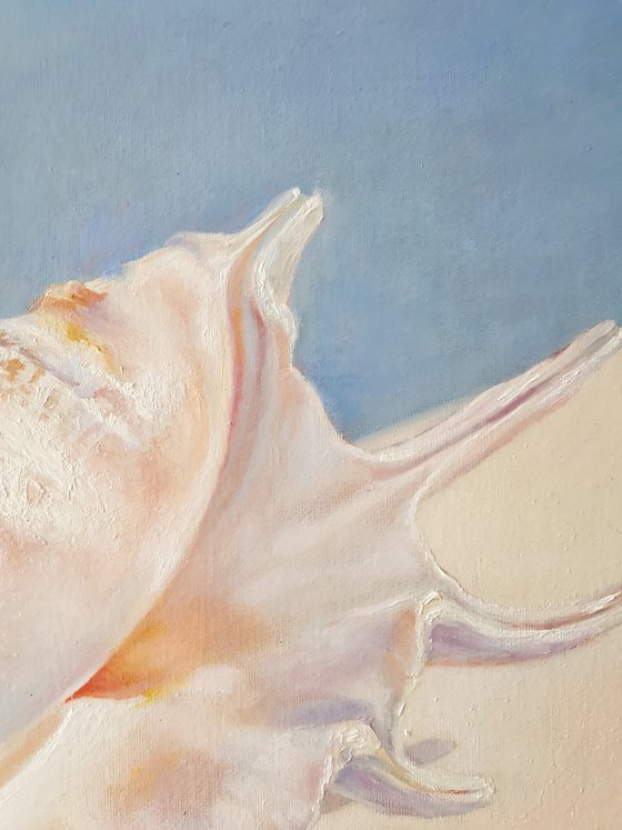 "An attribute of the divine Aphrodite."  still life seashell  liGHt original painting  GIFT (2021)