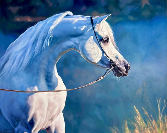 Arabian