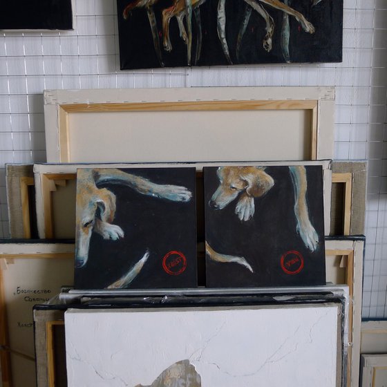 Ears, paws and tail. (Ears)