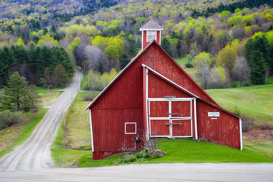 Springtime at Grandview Farm, Stowe, 61 x 41
