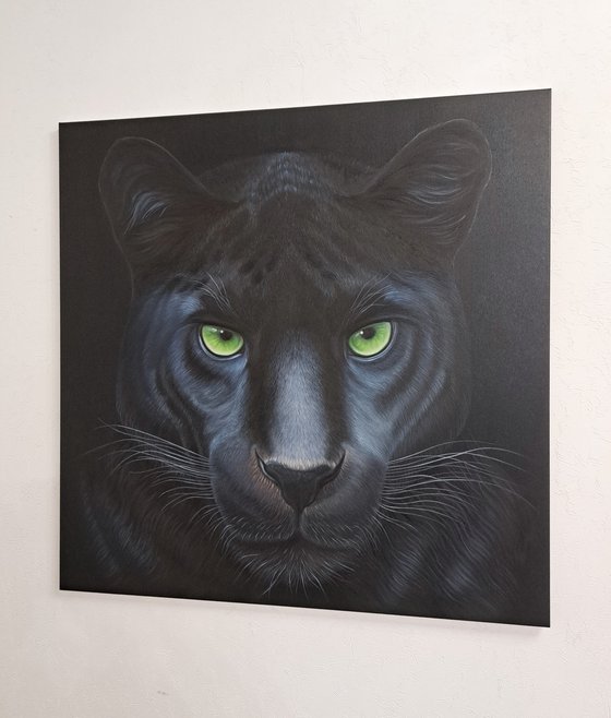 Portrait of black panther