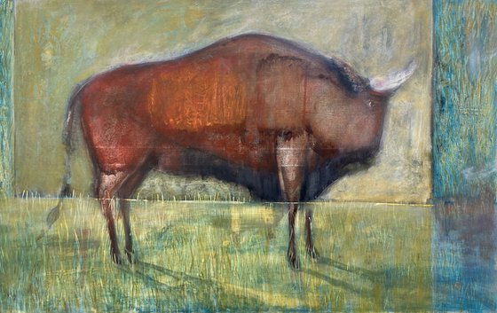 Bison