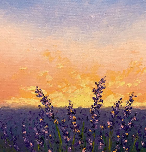 Lavender sunset