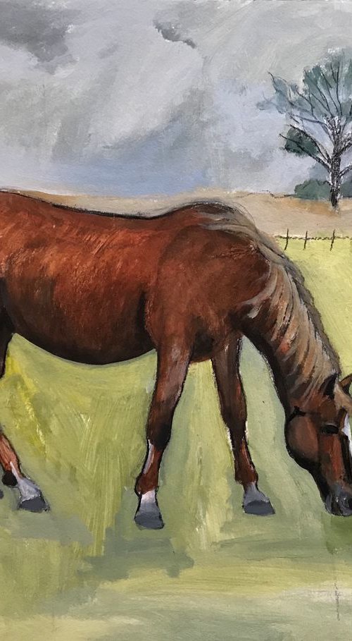 A horse with no name! by Christine Callum  McInally