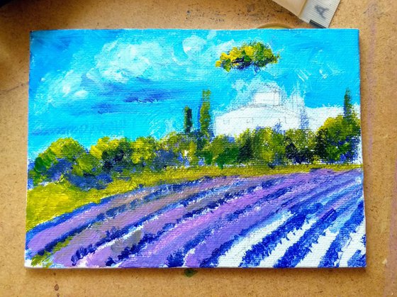 Miniature landscape of Lavender fields