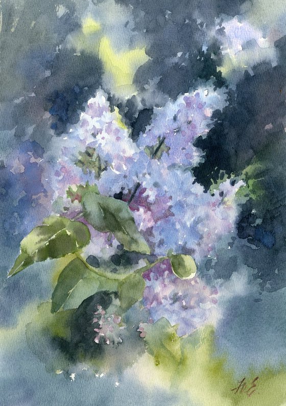 May lilac