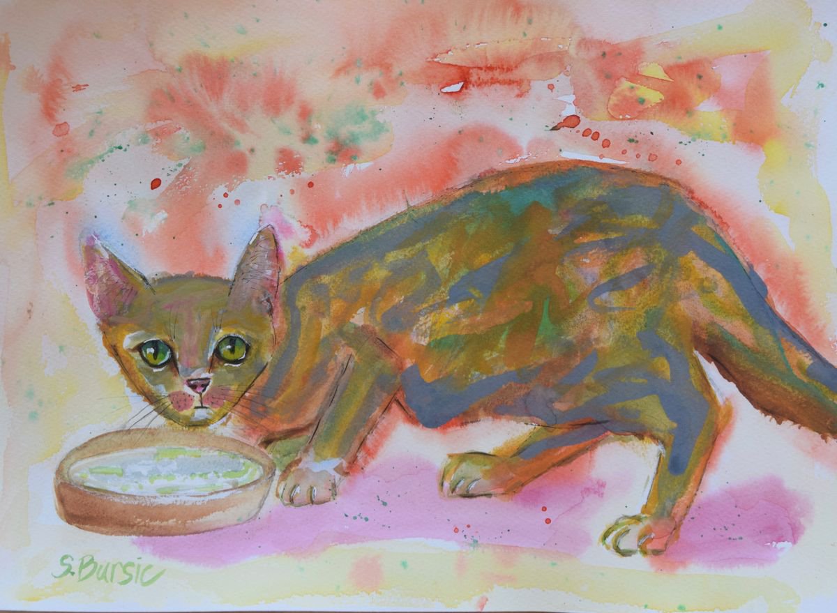 Kitten having a drink in watercolour by Sharyn Bursic