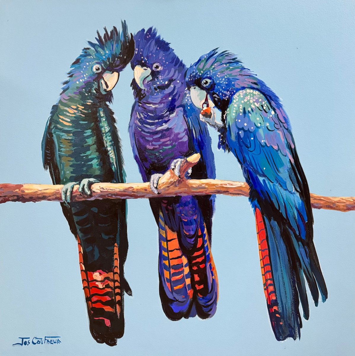 Impressionistic Animal Acrylic Painting By Jos Coufreur, 28 X 28, Red-Tailed Black Cockatoos, Original Artwork