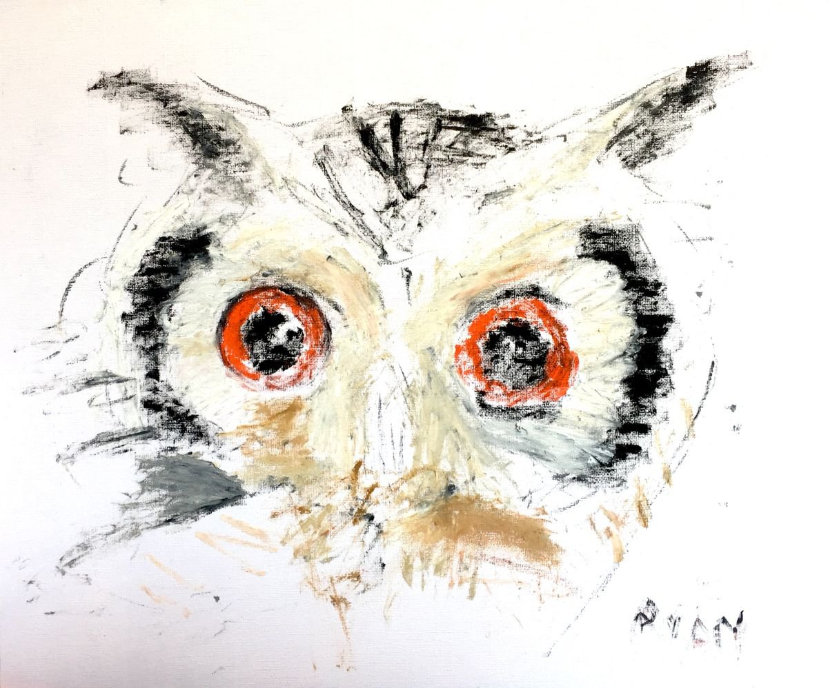 Owl Eyes  oil on paper 11.2x14 Owl Painting Owl Picture Owl Art by Ryan  Louder