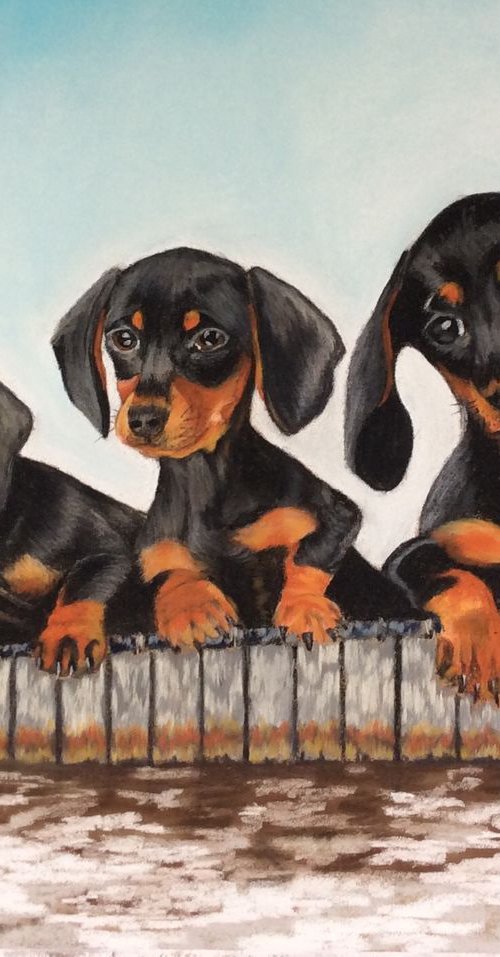 Pups on the Dock by Anne Shaughnessy