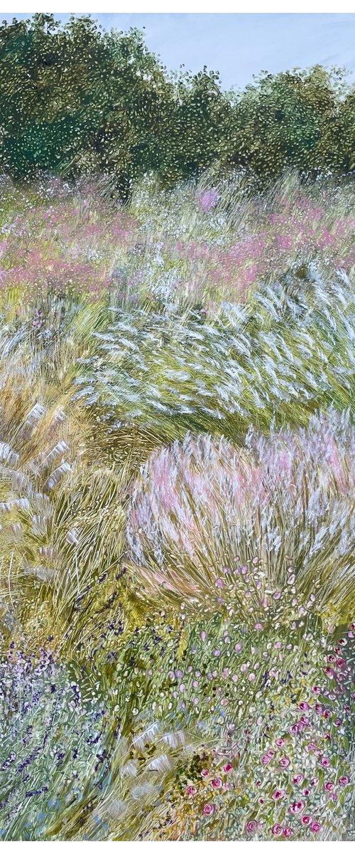 Ornamental grasses in the garden by Maija Nochevnaya