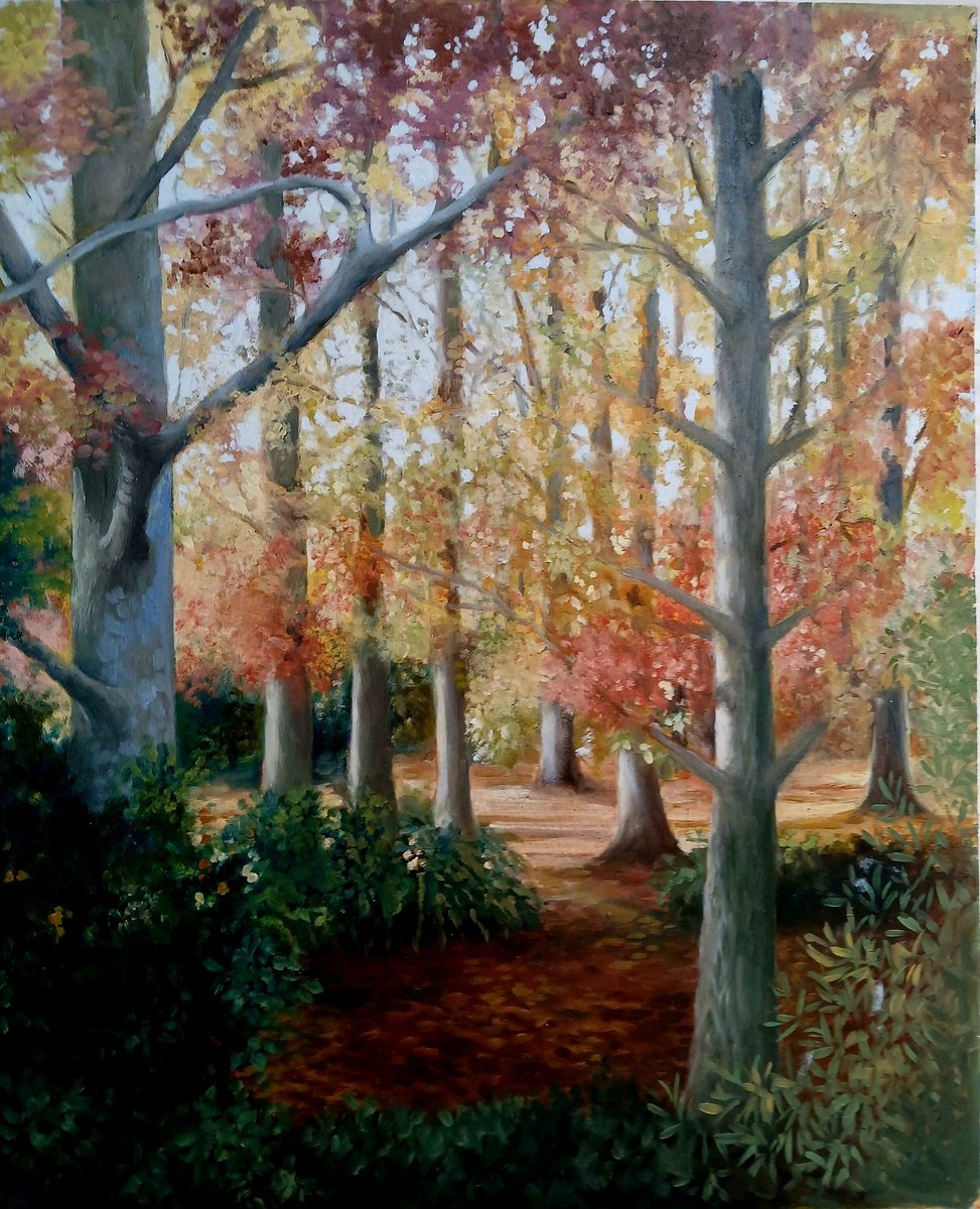 French woodland in Autumn by Sophie Colmer-Stocker