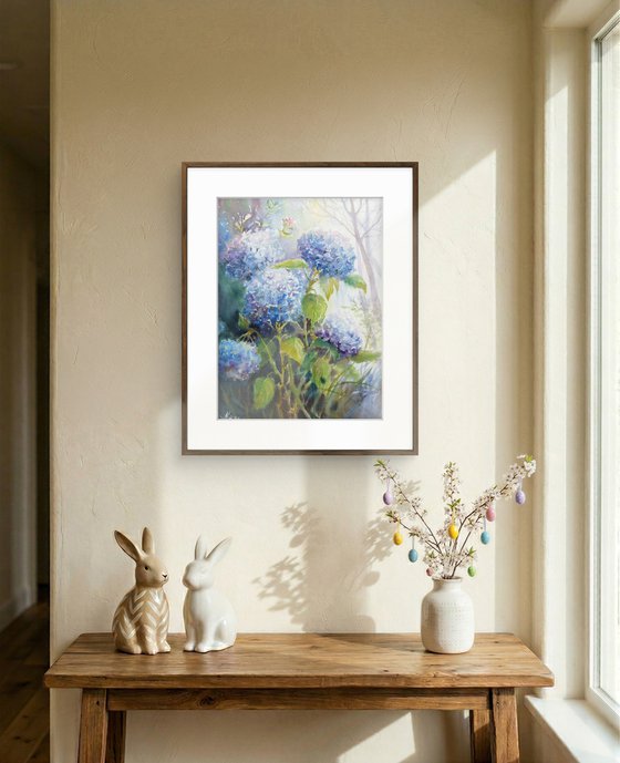 Blue Hydrangeas flowers