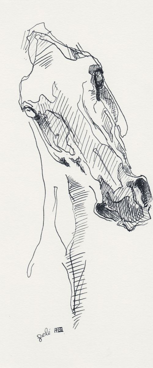 Equine Nude 139 by Benedicte Gele