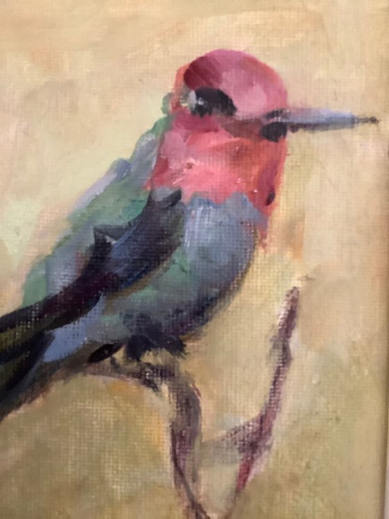 Hummingbird