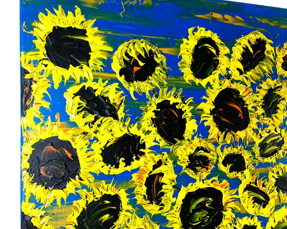 Blooming sunflowers 6