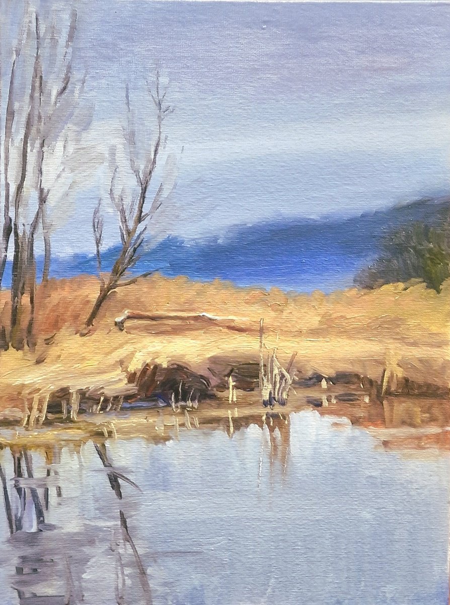 Still Water By Dita Galas, 7 X 9, Artwork For Sale On Artfinder