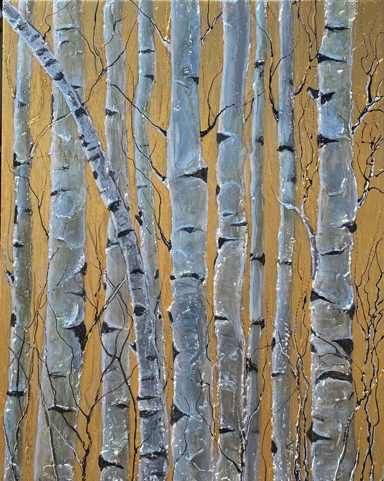 Birch Trees  Monochrome