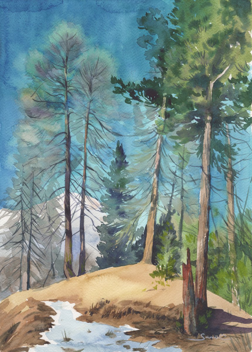 Graphic Landscape Watercolour By Samira Yanushkova, 14 X 10", Forest Art, Original Artwork