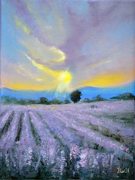 Lavender evening