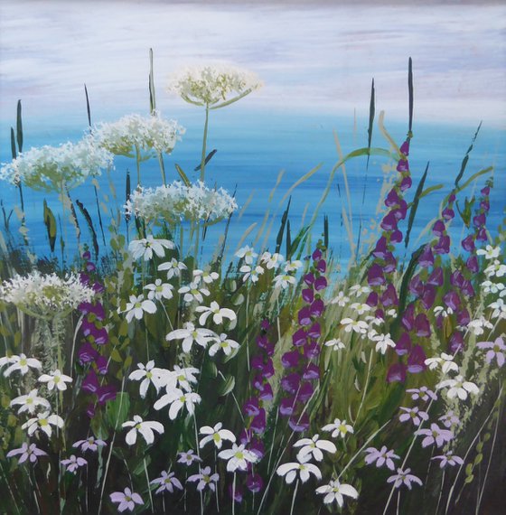 Cornish coast, wildflowers